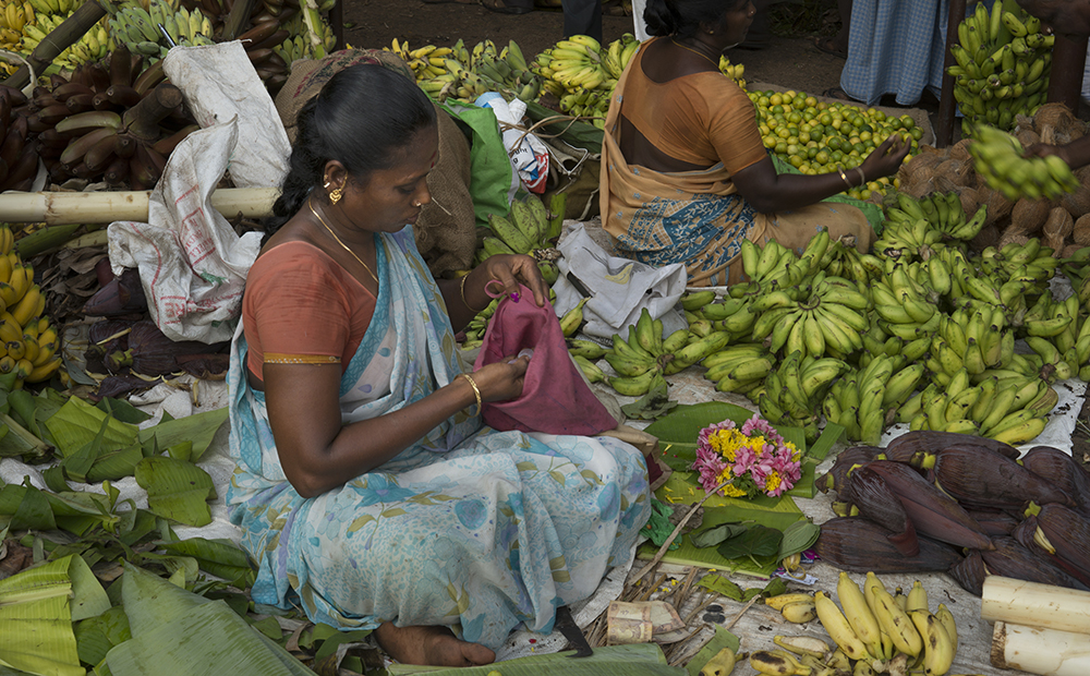 pondi-parc-5