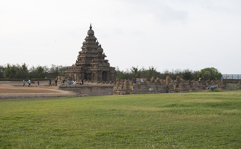 temple-mamal-1