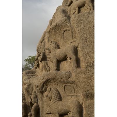 bas-relief-mur-mamal-12