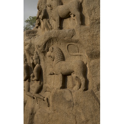 bas-relief-mur-mamal-13