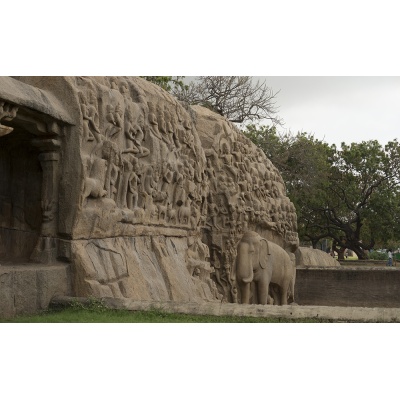 bas-relief-mur-mamal-15