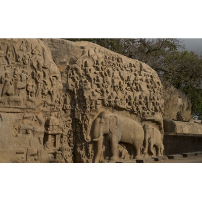 bas-relief-mur-mamal-18