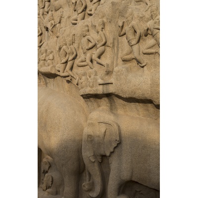 bas-relief-mur-mamal-4