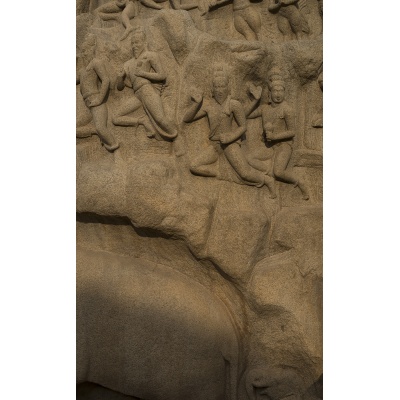 bas-relief-mur-mamal-5