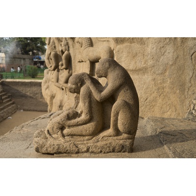 sculptures-mur-mamal-2