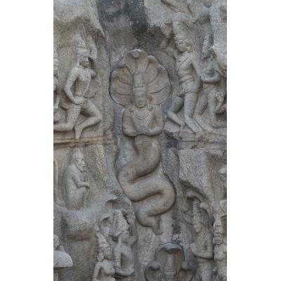 sculptures-mur-mamal-6