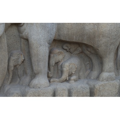 sculptures-mur-mamal-9