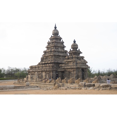 temple-mamal-4