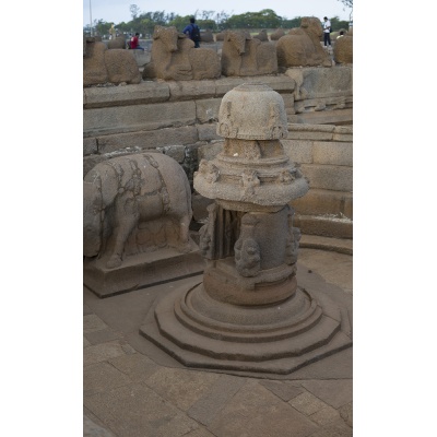 temple-mamal-7_1120921914