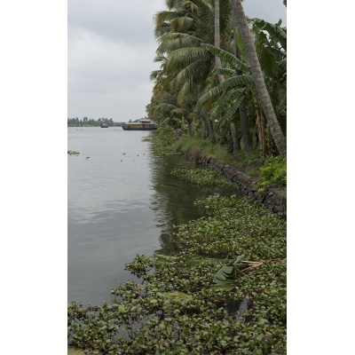 vembanad-39