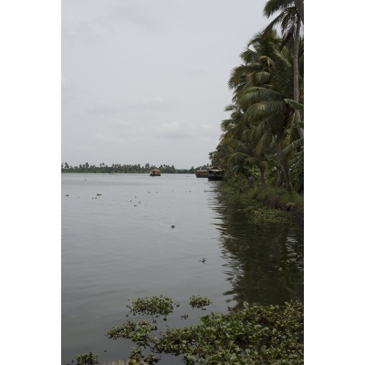 vembanad-42