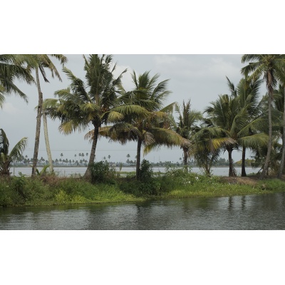 vembanad-45