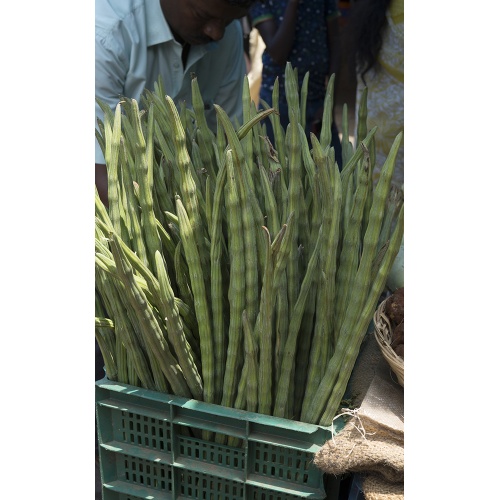 munnar-market-22