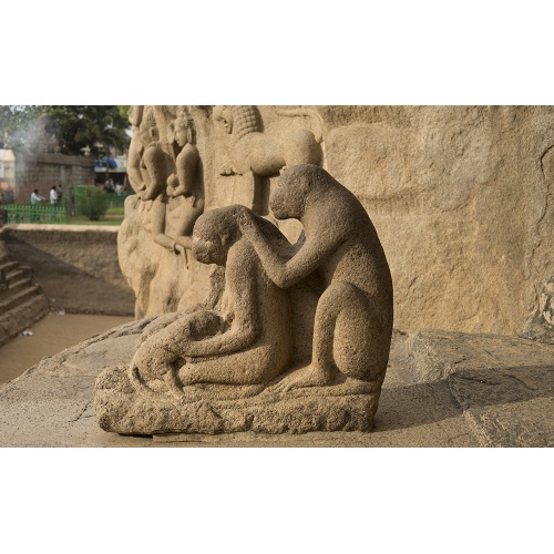 sculptures-mur-mamal-2