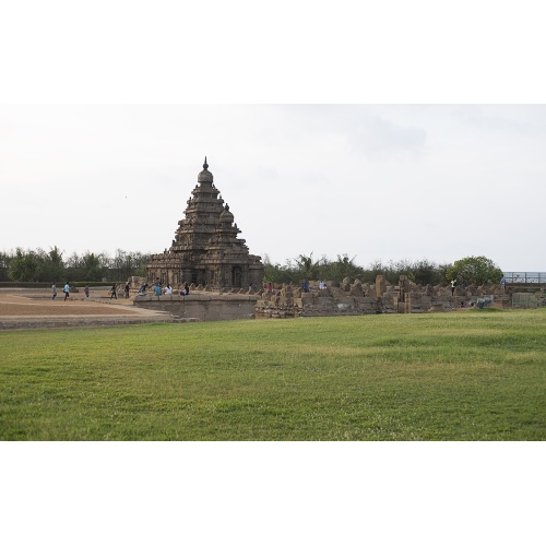 temple-mamal-1