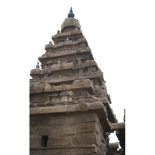 temple-mamal-17