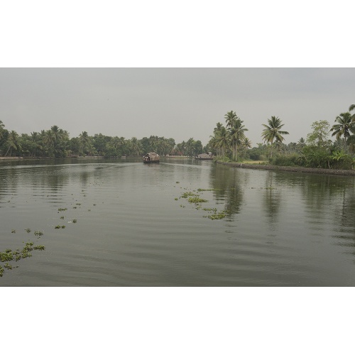 vembanad-81